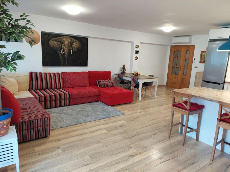 Family Apartment Andrea 알래쿼스 외부 사진
