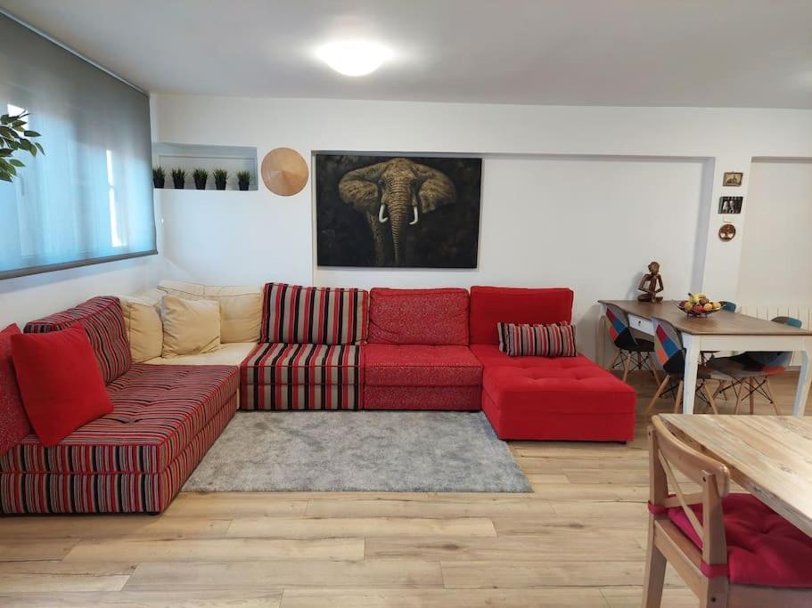 Family Apartment Andrea 알래쿼스 외부 사진